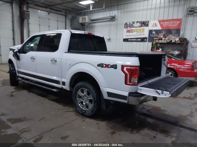 Photo 2 VIN: 1FTEW1EP8FKD59223 - FORD F150 