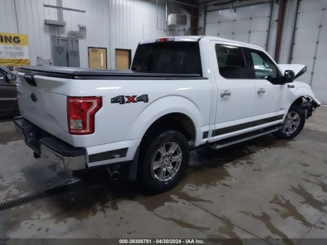 Photo 3 VIN: 1FTEW1EP8FKD59223 - FORD F150 