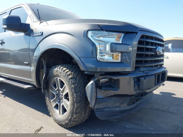 Photo 5 VIN: 1FTEW1EP8FKD81674 - FORD F-150 