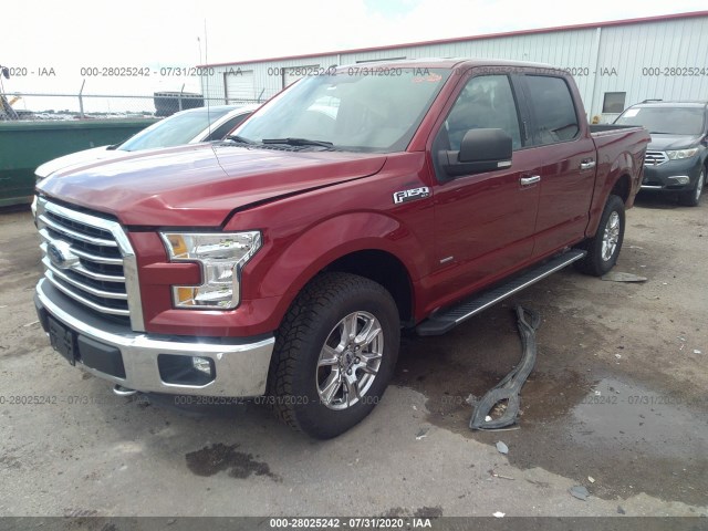 Photo 1 VIN: 1FTEW1EP8GFA13098 - FORD F-150 