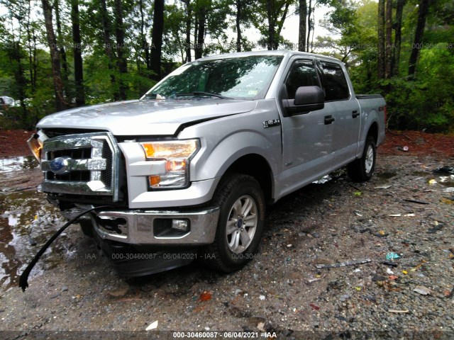 Photo 1 VIN: 1FTEW1EP8GFA16387 - FORD F-150 