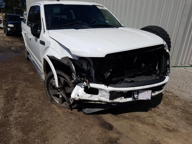 Photo 8 VIN: 1FTEW1EP8GFC18422 - FORD F150 SUPER 