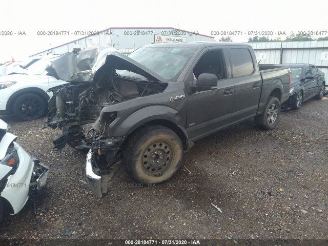 Photo 1 VIN: 1FTEW1EP8GKD38891 - FORD F-150 