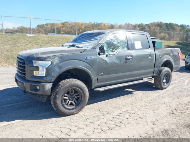 Photo 1 VIN: 1FTEW1EP8HFA96226 - FORD F-150 