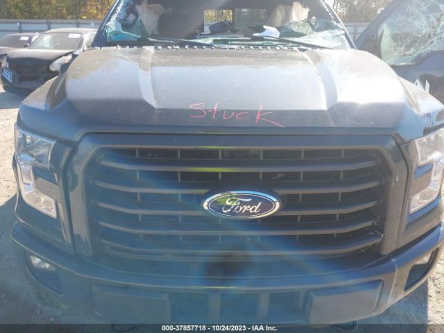 Photo 9 VIN: 1FTEW1EP8HFA96226 - FORD F-150 