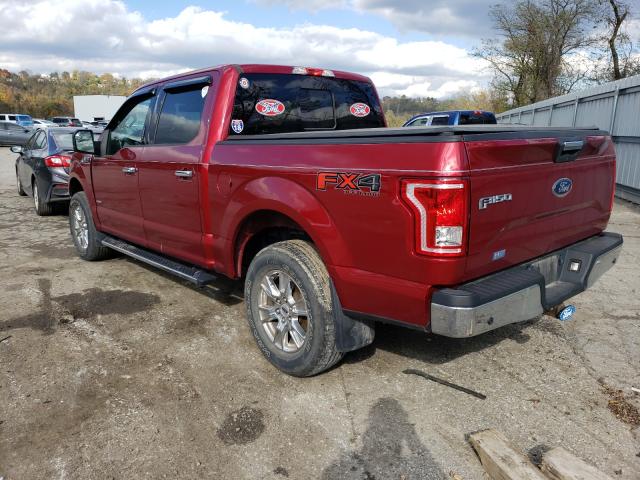 Photo 2 VIN: 1FTEW1EP8HFC44293 - FORD F150 SUPER 