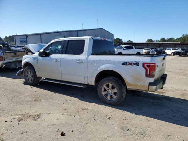 Photo 1 VIN: 1FTEW1EP8HKC39571 - FORD F150 SUPER 