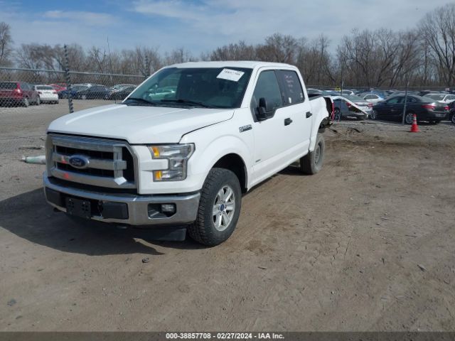 Photo 1 VIN: 1FTEW1EP8HKD46989 - FORD F-150 