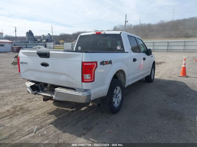 Photo 3 VIN: 1FTEW1EP8HKD46989 - FORD F-150 