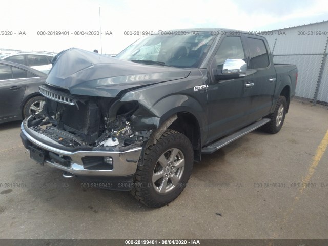 Photo 1 VIN: 1FTEW1EP8JKF57681 - FORD F-150 