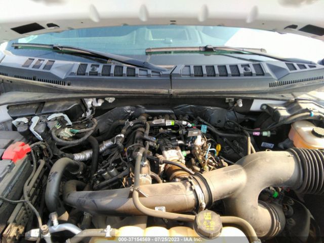 Photo 9 VIN: 1FTEW1EP8LFC20441 - FORD F-150 