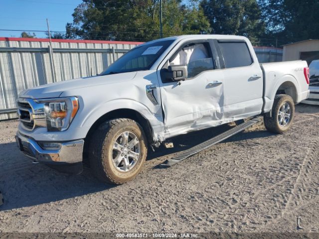 Photo 1 VIN: 1FTEW1EP8MFC11899 - FORD F-150 