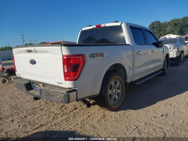 Photo 3 VIN: 1FTEW1EP8MFC11899 - FORD F-150 