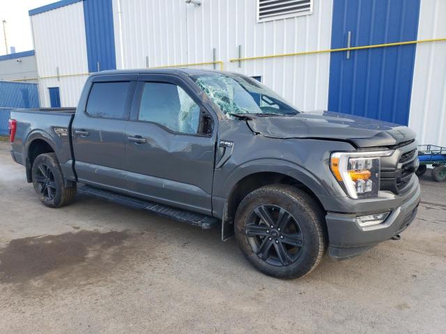 Photo 3 VIN: 1FTEW1EP8MFD06270 - FORD F-150 