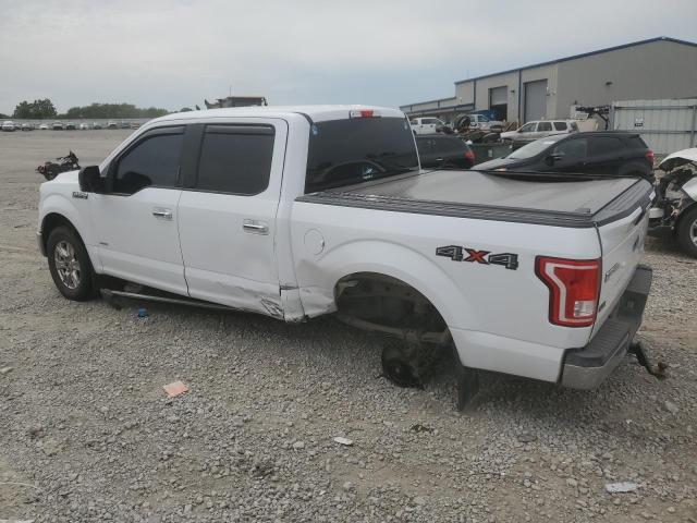 Photo 1 VIN: 1FTEW1EP9FKD39577 - FORD F150 SUPER 