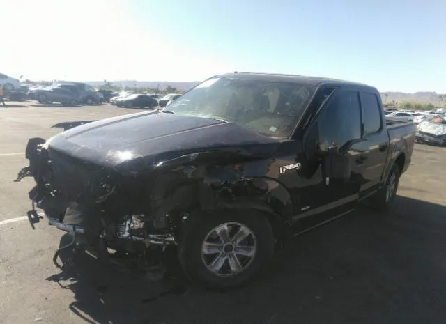 Photo 1 VIN: 1FTEW1EP9FKE34477 - FORD F-150 