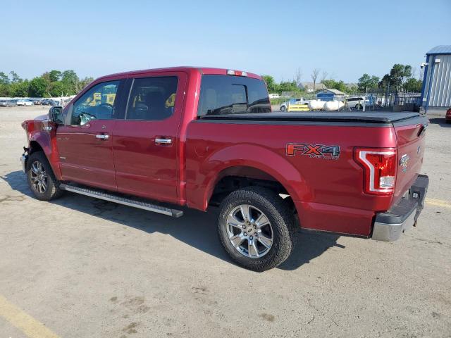 Photo 1 VIN: 1FTEW1EP9GFB80442 - FORD F-150 