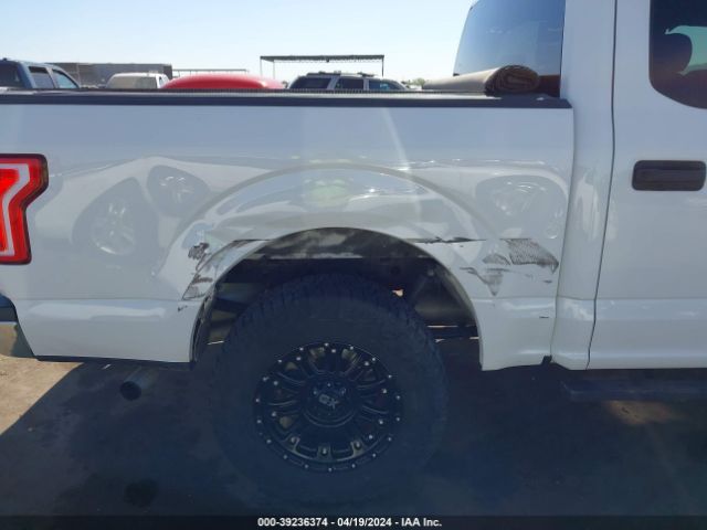 Photo 5 VIN: 1FTEW1EP9GFD26127 - FORD F150 