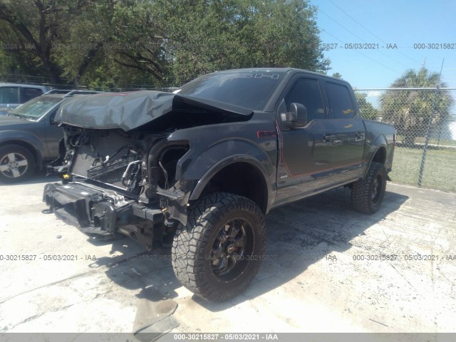 Photo 1 VIN: 1FTEW1EP9GFD50363 - FORD F-150 