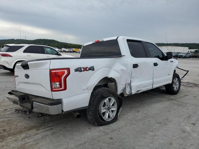 Photo 2 VIN: 1FTEW1EP9GKE16160 - FORD F150 SUPER 