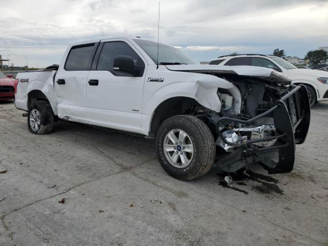 Photo 3 VIN: 1FTEW1EP9GKE16160 - FORD F150 SUPER 