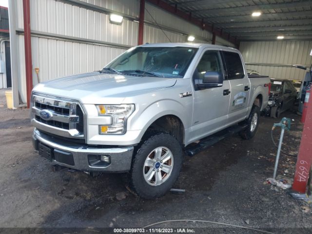 Photo 1 VIN: 1FTEW1EP9GKE98505 - FORD F-150 