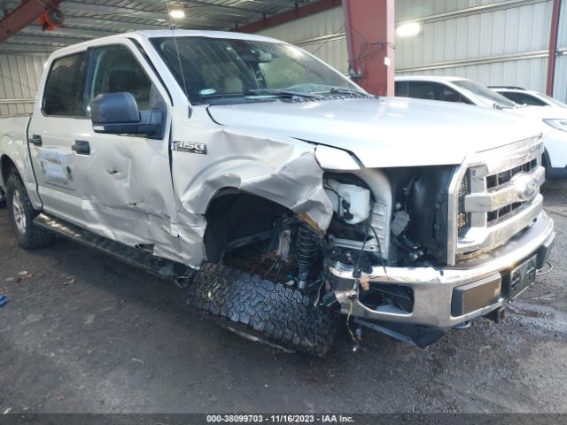 Photo 5 VIN: 1FTEW1EP9GKE98505 - FORD F-150 