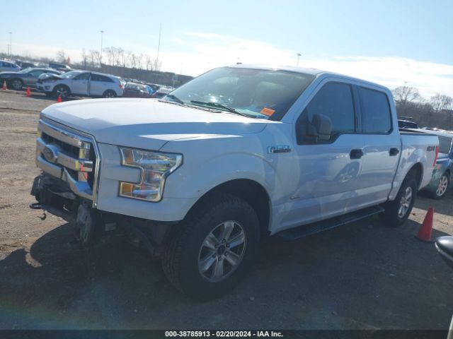 Photo 1 VIN: 1FTEW1EP9HKD90709 - FORD F-150 