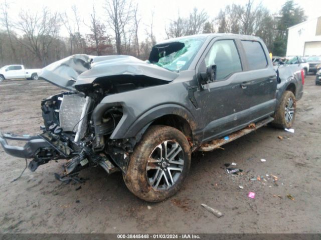 Photo 1 VIN: 1FTEW1EP9PKF25959 - FORD F-150 