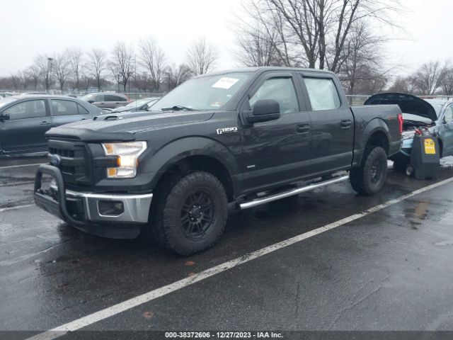 Photo 1 VIN: 1FTEW1EPXFFC56717 - FORD F-150 