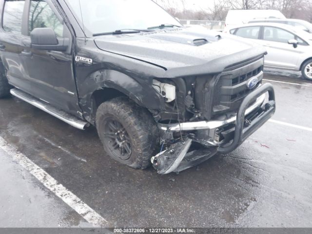 Photo 5 VIN: 1FTEW1EPXFFC56717 - FORD F-150 