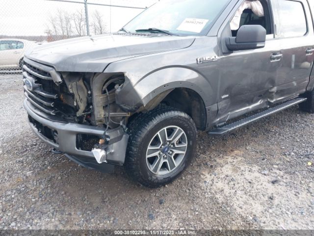 Photo 5 VIN: 1FTEW1EPXFKE34441 - FORD F-150 