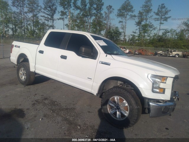 Photo 0 VIN: 1FTEW1EPXGFB75749 - FORD F-150 