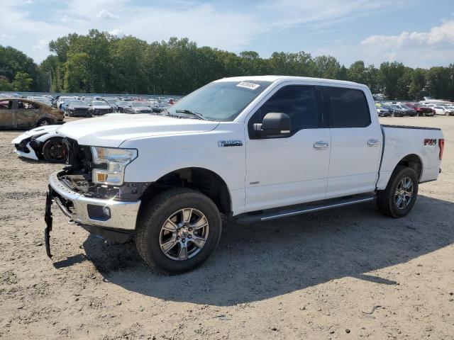 Photo 0 VIN: 1FTEW1EPXGKD99434 - FORD F150 SUPER 