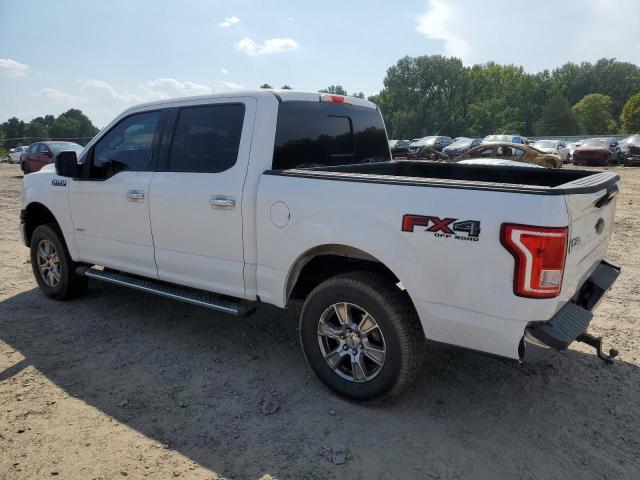 Photo 1 VIN: 1FTEW1EPXGKD99434 - FORD F150 SUPER 