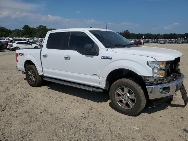 Photo 3 VIN: 1FTEW1EPXGKD99434 - FORD F150 SUPER 