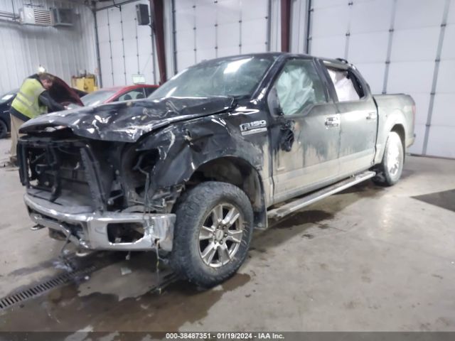 Photo 1 VIN: 1FTEW1EPXGKE74102 - FORD F-150 