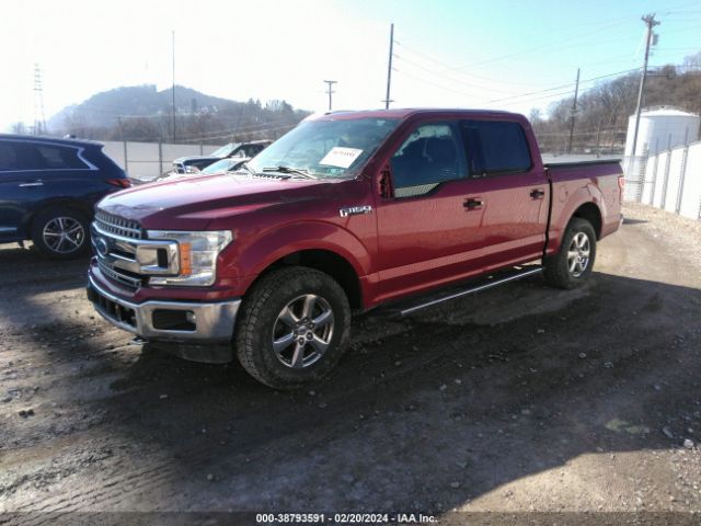 Photo 1 VIN: 1FTEW1EPXJFB24338 - FORD F-150 