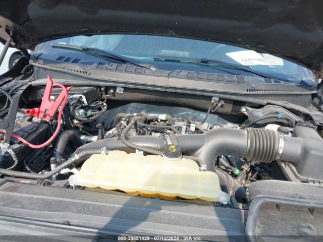 Photo 9 VIN: 1FTEW1EPXLKD86595 - FORD F-150 