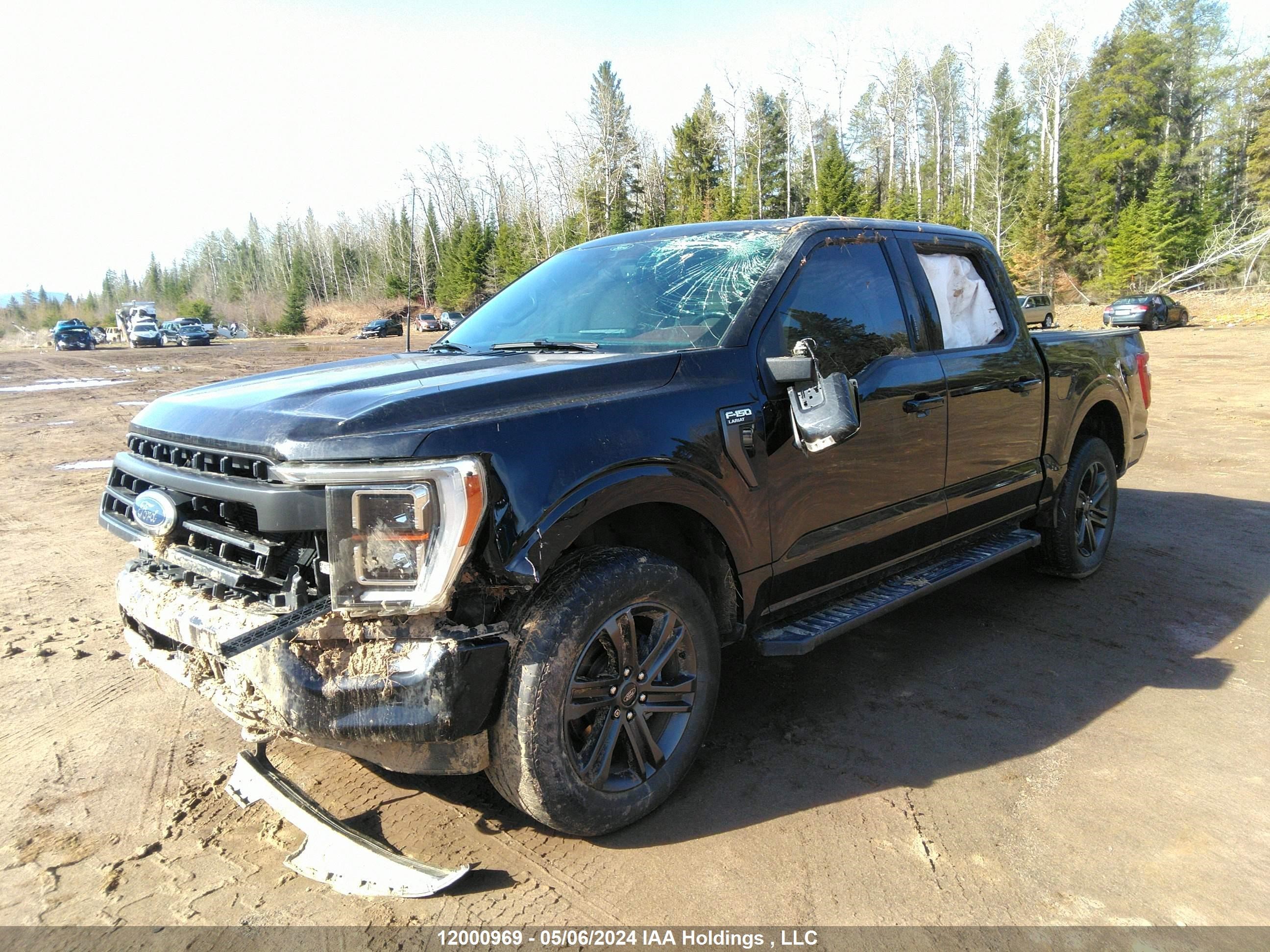 Photo 1 VIN: 1FTEW1EPXMFB56498 - FORD F-150 