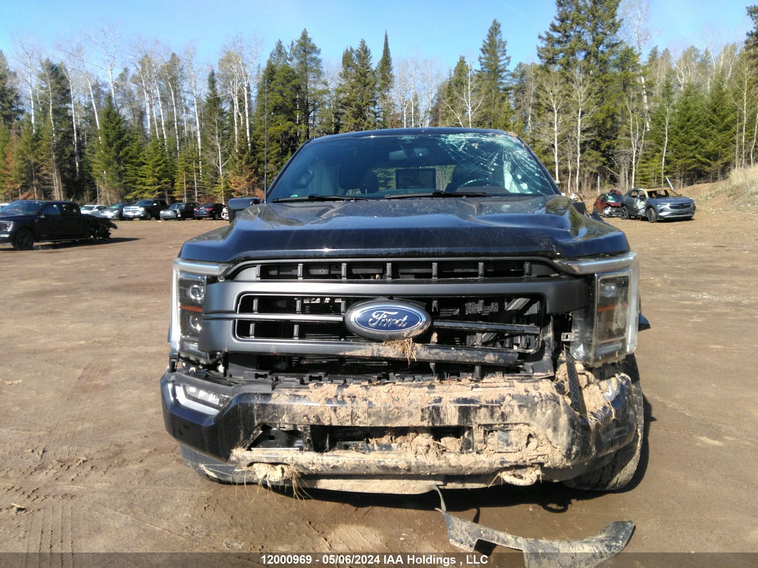 Photo 12 VIN: 1FTEW1EPXMFB56498 - FORD F-150 