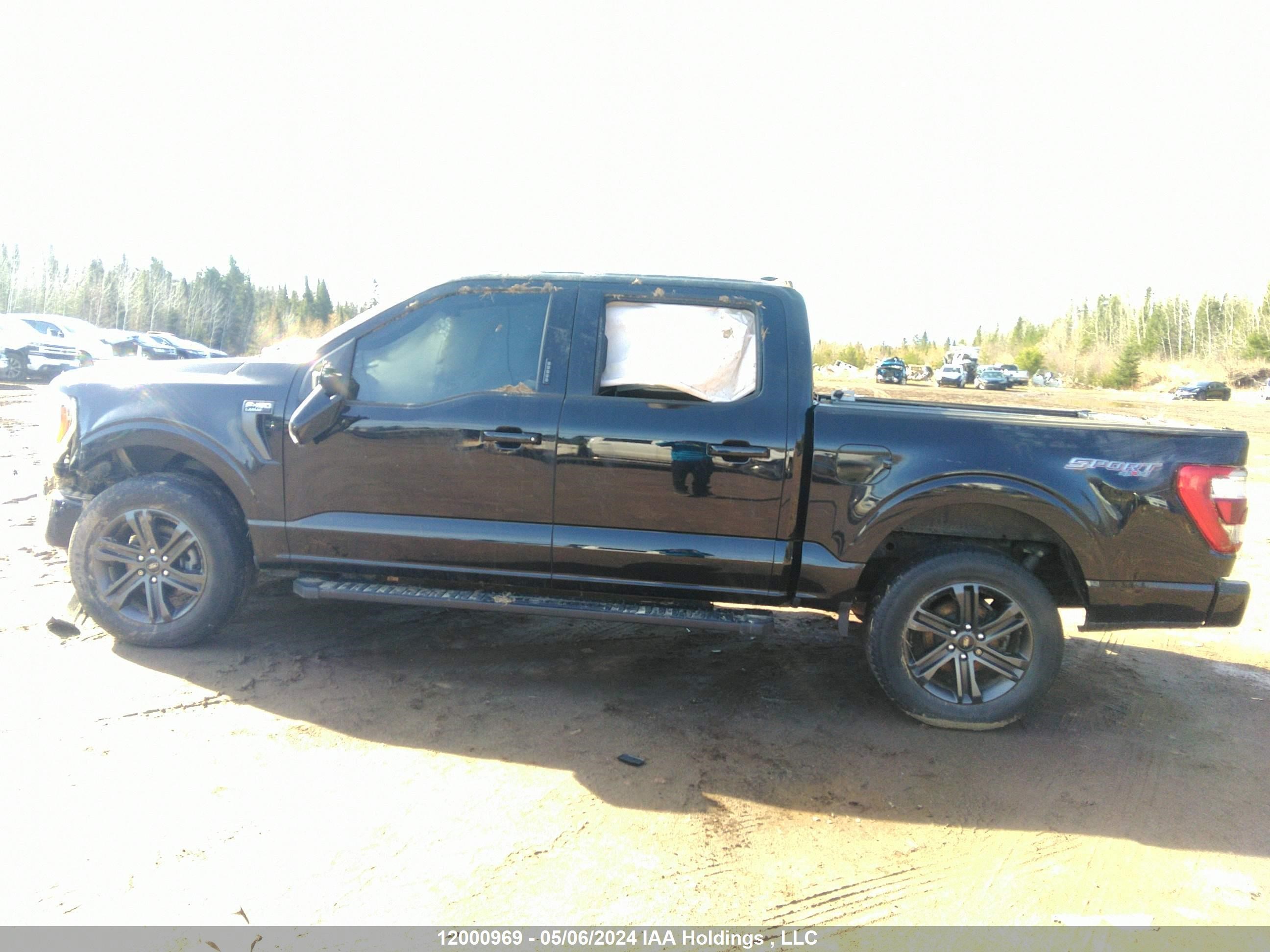 Photo 14 VIN: 1FTEW1EPXMFB56498 - FORD F-150 