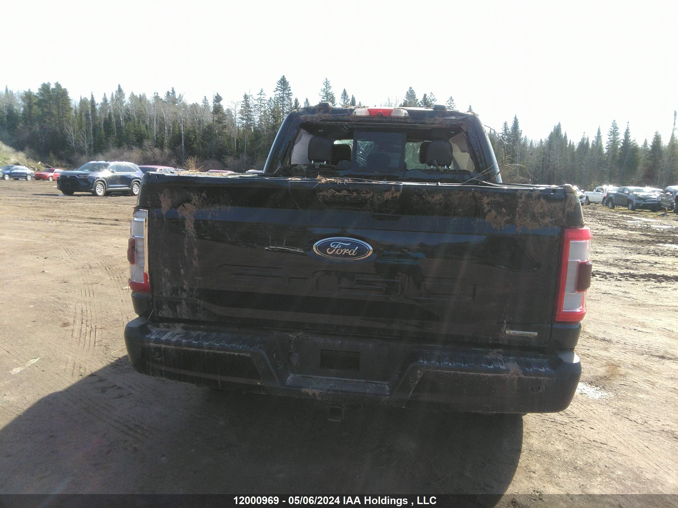 Photo 16 VIN: 1FTEW1EPXMFB56498 - FORD F-150 