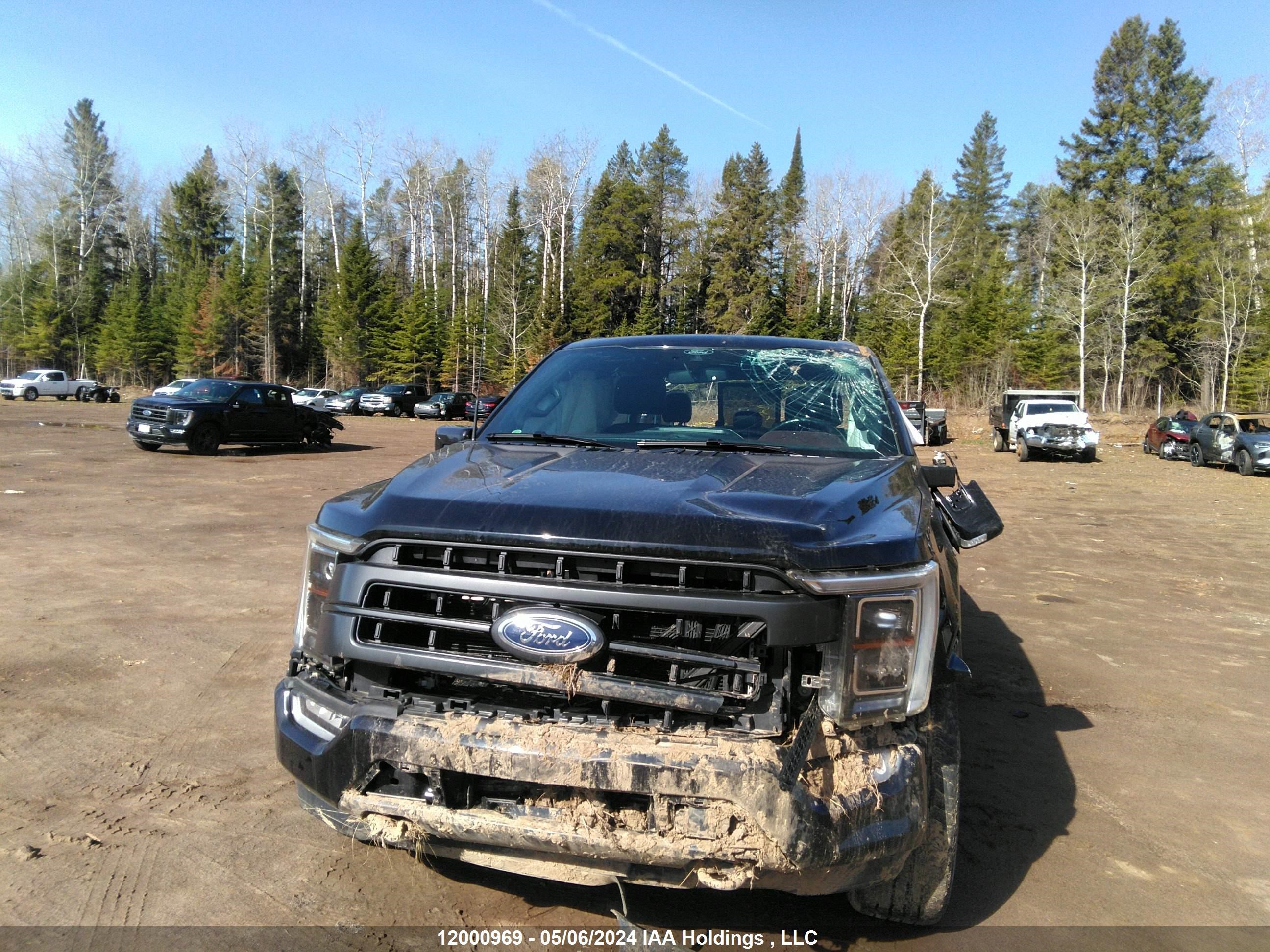 Photo 5 VIN: 1FTEW1EPXMFB56498 - FORD F-150 