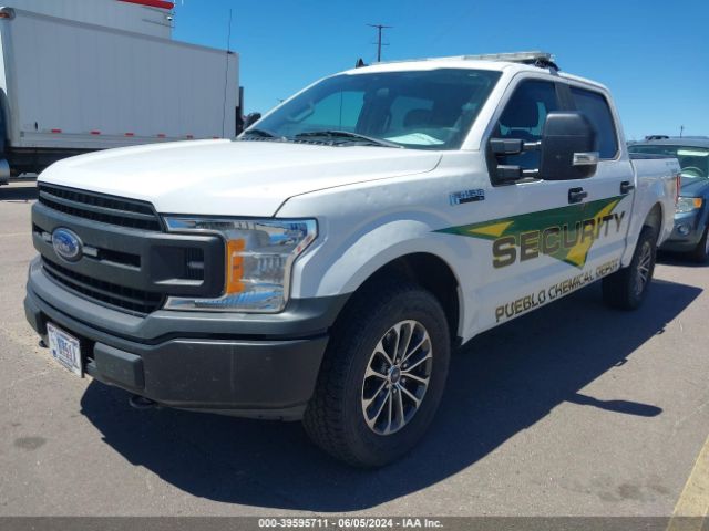 Photo 1 VIN: 1FTEW1P44LKF21797 - FORD F-150 