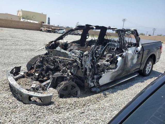 VIN: 1FTEW3K84RKD32842 - ford f150 xlt