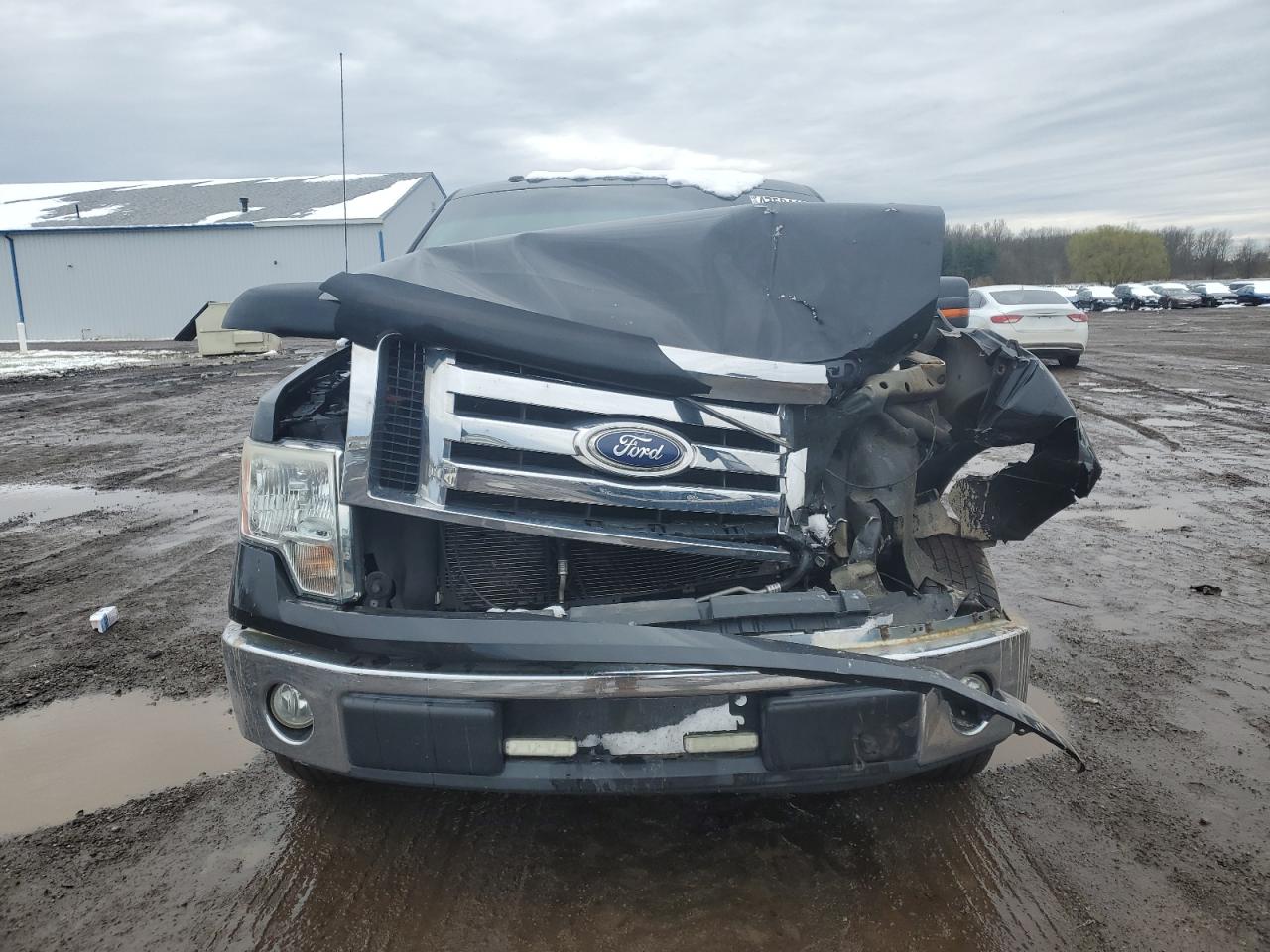 Photo 4 VIN: 1FTEX1C81AFA43754 - FORD F-150 