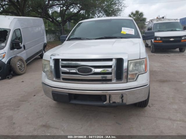 Photo 5 VIN: 1FTEX1C81AKC35585 - FORD F-150 