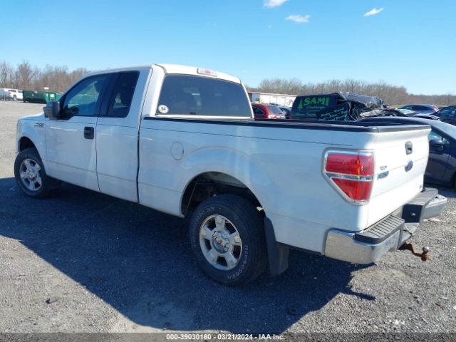 Photo 2 VIN: 1FTEX1C81AKE41019 - FORD F-150 