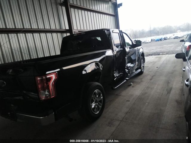 Photo 3 VIN: 1FTEX1C82HFB25275 - FORD F-150 